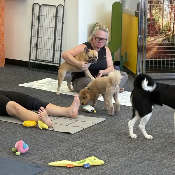 Puppies greeting guests during yoga at K9 Rox Club